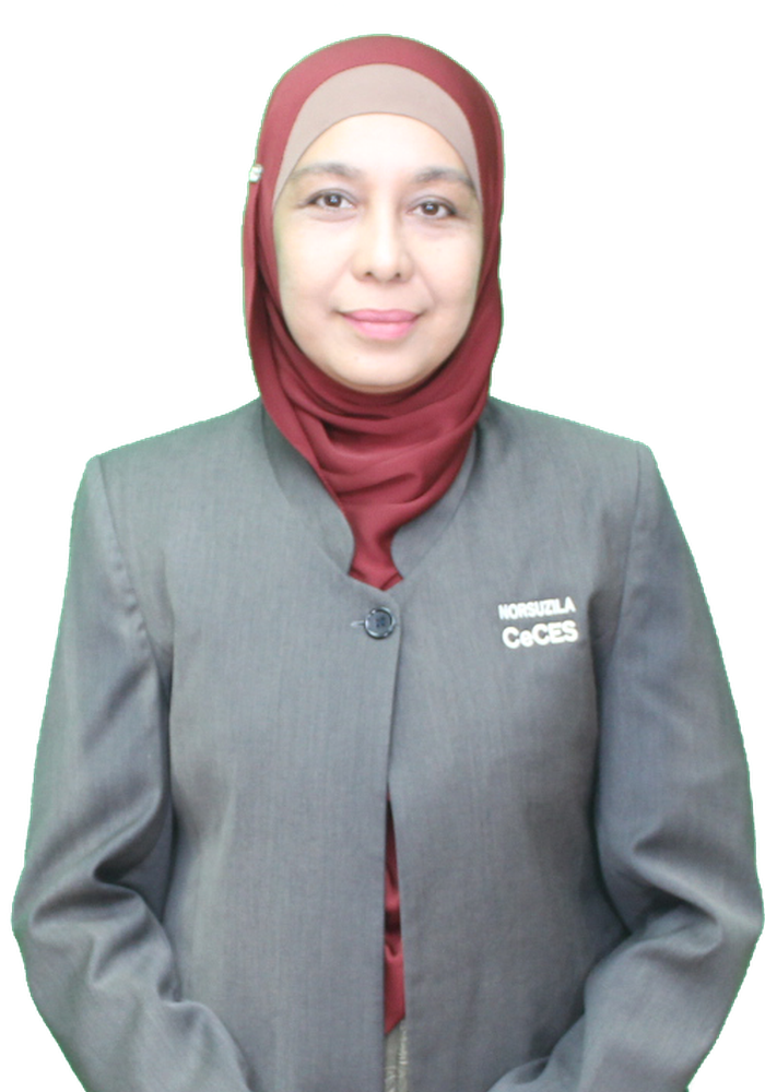 Assoc. Prof. Ir. Gs. Ts. Dr. Norsuzila Binti Ya’acob